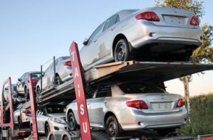 Нестабильный курс доллара повысил продажи