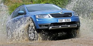 Skoda стала еще более успешной