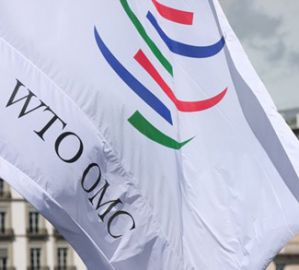 Члены ВТО провели консультации с Украиной по дополнительному импортному сбору, введенному для улучшения торгового баланса