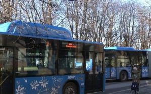 В Эстонии запустят биоавтобусы, работающие на отходах