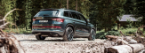 Skoda Kodiaq RS станет мощнее